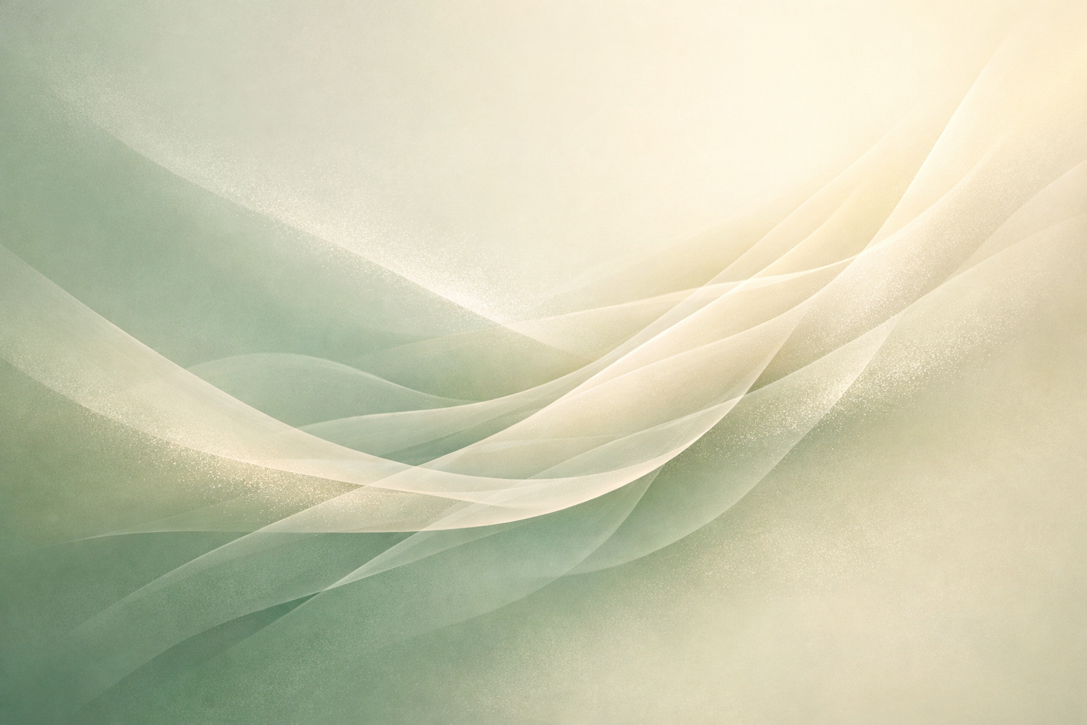 Soft curtains and dappled natural light