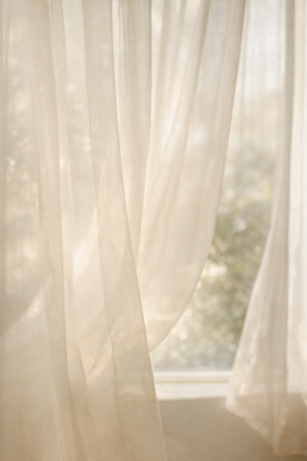 Soft curtains and dappled natural light