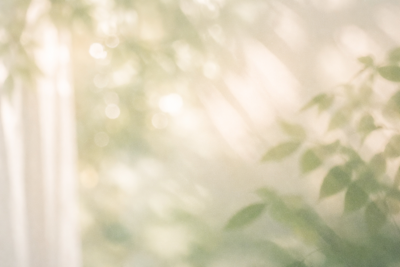 Soft curtains and dappled natural light